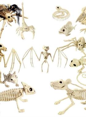 Halloween Decoration Animal Skeleton Hallowmas House Party O