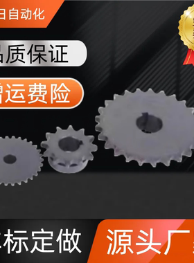 链轮 50B /SP50B10-N-15/SP50B10-N-16/17/18/19/20/SP50B10-N-22