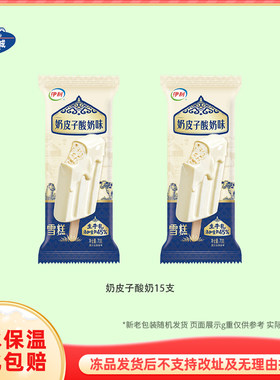 伊利奶皮子酸奶雪糕小布丁老冰棍红绿豆黄油啤酒海盐柠檬脆筒