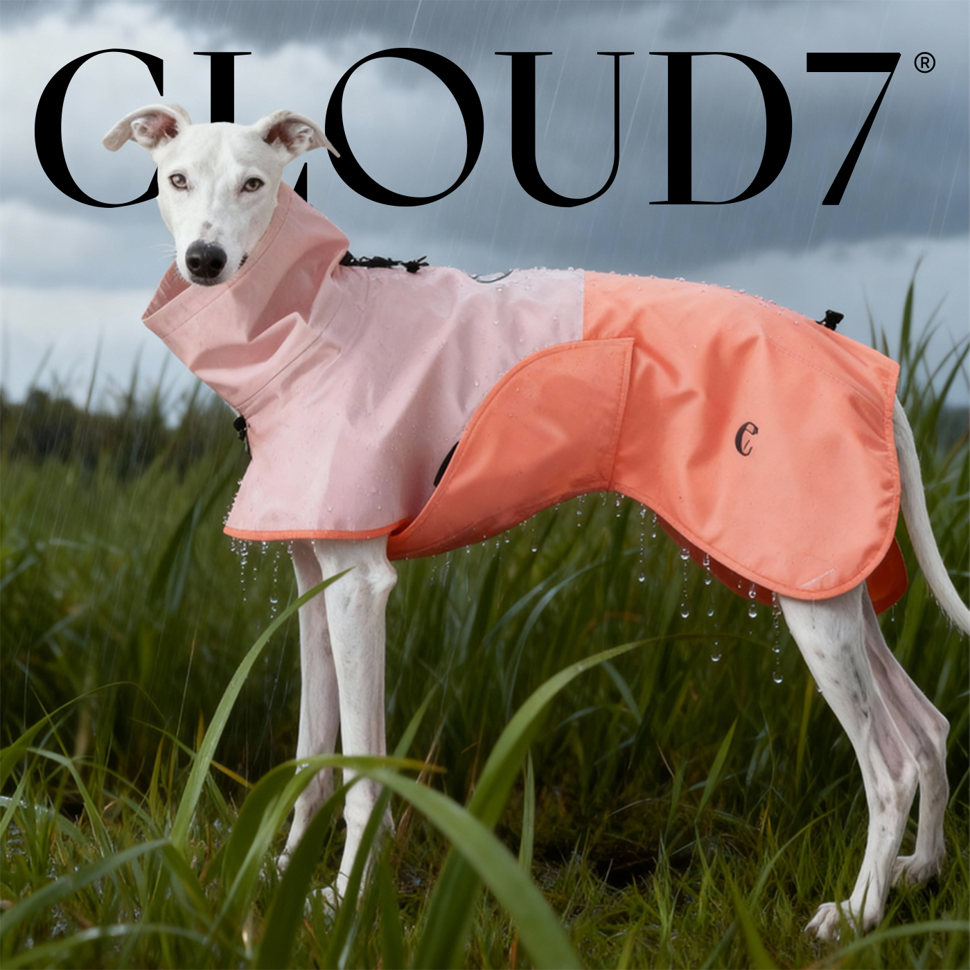 Cloud7霓虹拼色宠物雨衣25新款