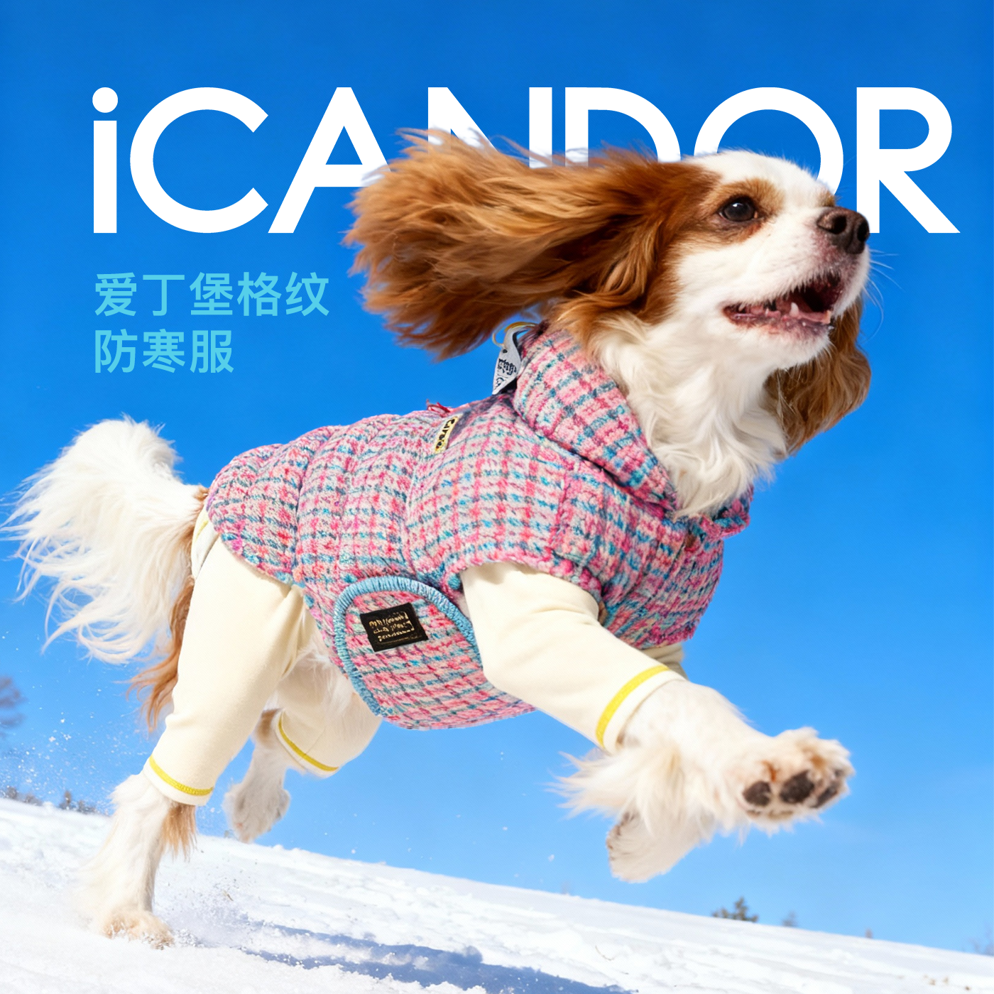 Icandor爱丁堡格纹滑雪服25现货