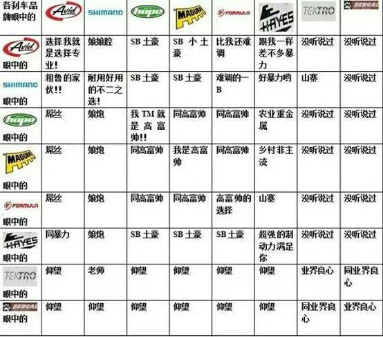 MAGURA马古拉HS33攀爬自行车油V圈刹车ECHO Racing Line HS11卡钳