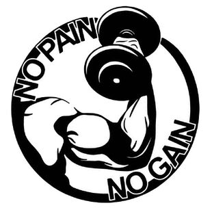 极速Stickerg Decal Inspirational Wall Decal Home Gym Gym