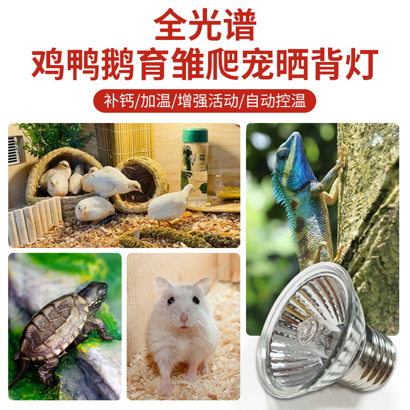 极速芦丁鸡保温灯温控器加热灯鹦鹉取暖灯育雏Q加温灯宠物养殖取
