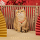 新品 猫咪项圈铃铛l新年围脖猫猫幼猫脖子饰品宠物小猫脖圈狗狗装