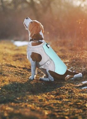 极速Cooling Dog Vest Summer Pet CDooler Vest For Camping Hik