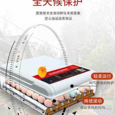 极速厂销爆品孵化小鸡p的机器鸡蛋孵化器全自动温控芦丁鸡智能孵