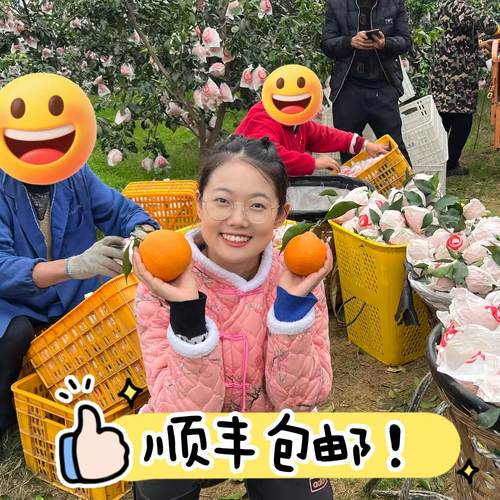 顺丰包邮！文祺的爱媛38号果冻橙成熟啦！！