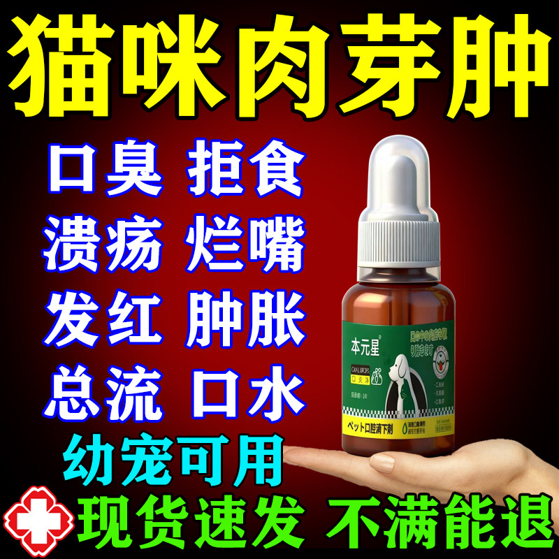 【一吃就好】猫口炎特效药