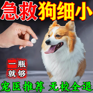 狗狗细小特效药犬瘟热病毒专用单抗干扰素治疗肠胃炎抽搐拉血呕吐