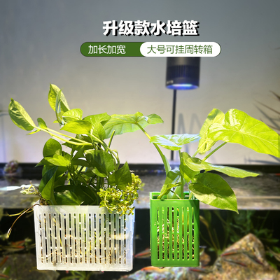 水培固定篮鱼缸水草固定神器壁挂式种植杯鱼缸造景装饰绿萝定植篮