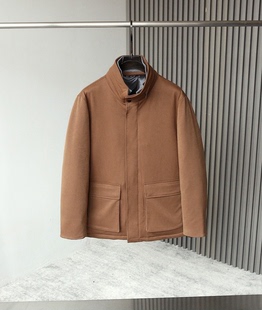 休闲防风立领外套95白鸭绒男士 意式 时尚 2025秋冬新款 羽绒服 Z亚版