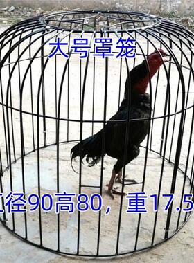斗鸡笼子斗鸡罩笼加粗大号养殖笼折叠鸭笼鹅笼狗笼鸡笼直发