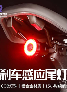 自行车尾灯智能感应刹车灯骑行装备山地车公路车夜骑尾灯骑行装备