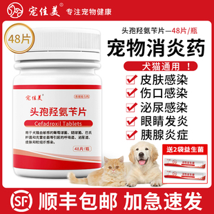 宠物头孢羟氨苄片狗狗肠胃炎尿路皮肤感染消炎药猫咪咳嗽泌尿道