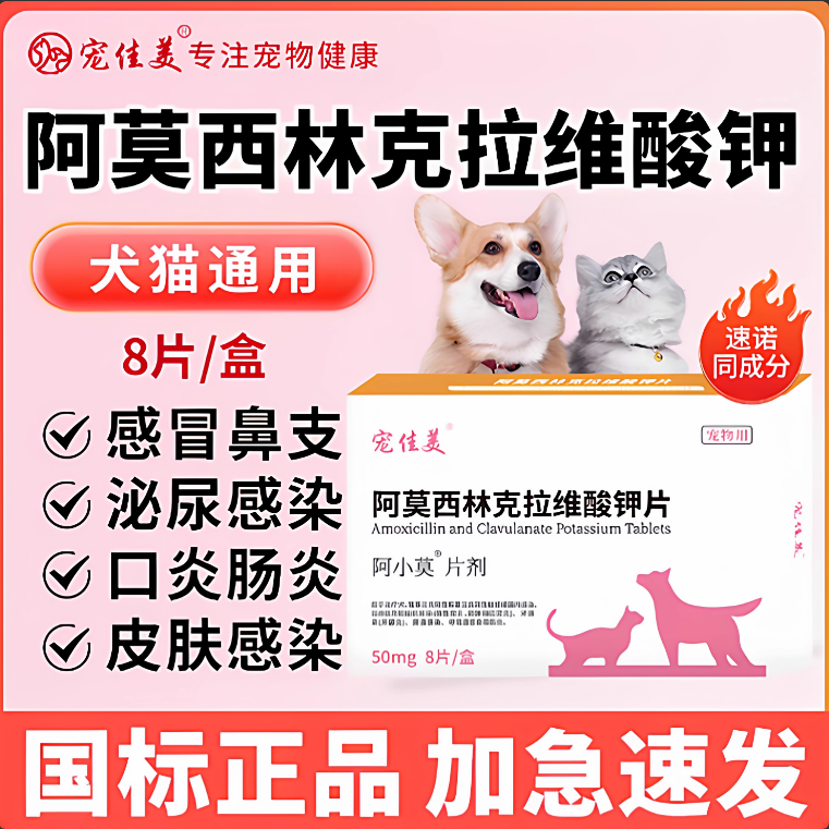 阿莫西林克拉维酸钾宠物速诺消炎