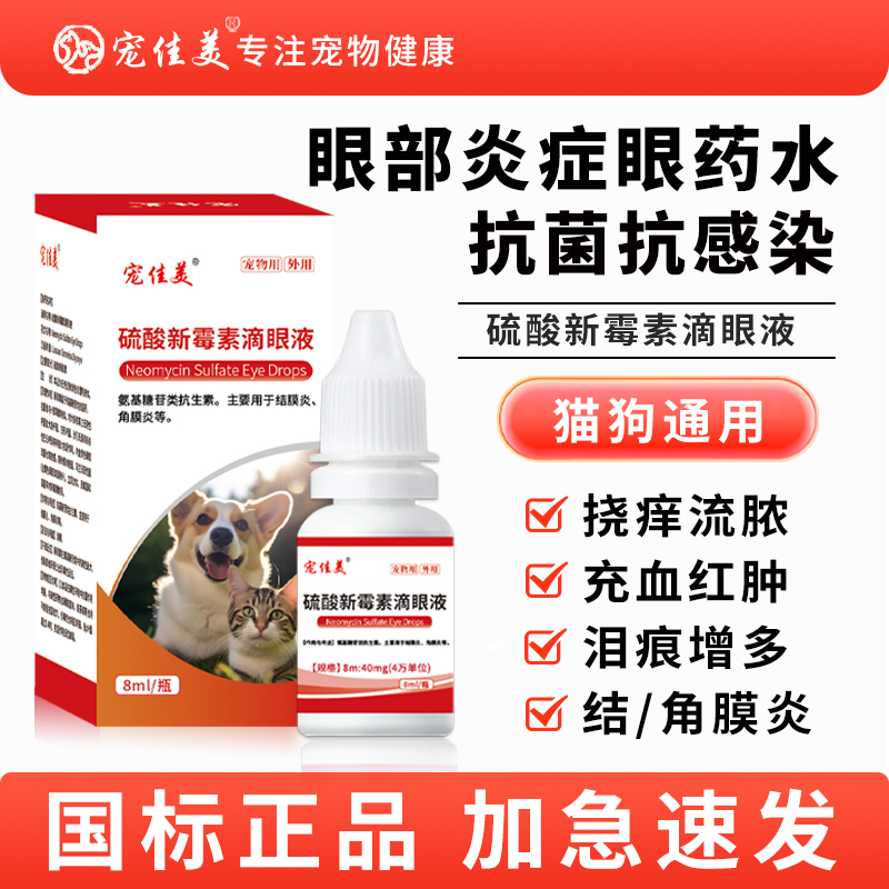 猫咪眼药水新霉素滴眼液
