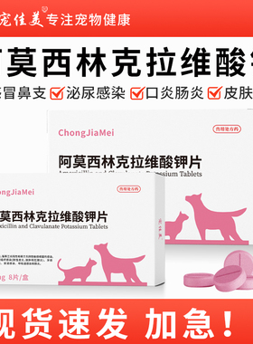 阿莫西林克拉维酸钾片狗狗感冒咳嗽猫鼻支速猫消炎片诺尿血尿闭