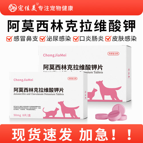 阿莫西林克拉维酸钾片咳嗽猫鼻支