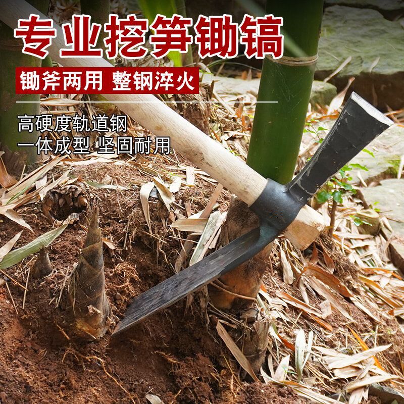 挖笋专用锄头一体轨道钢青冈木柄农用挖冬笋神器十字镐挖竹笋工具图片
