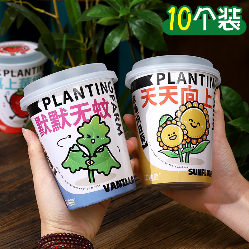 创意自吸水绿植盆栽种子儿童种植易活幼儿园diy科学观察植物生长