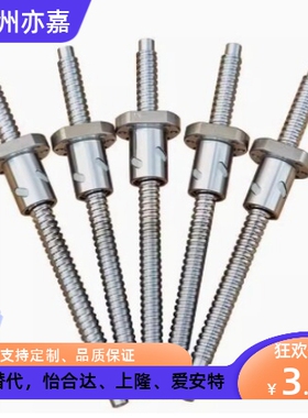 滚珠丝杠BSWE/BTWE/BTWP0802 1002 1204 1510 1520 2010 2510 05