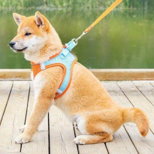 Color Breathable Mesh Fabric Pet Dog Cat Vest with