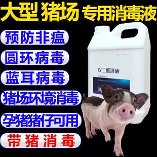 猪圈消毒液猪场专用消毒液猪用消毒液剂猪舍消毒水药消毒杀菌兽用