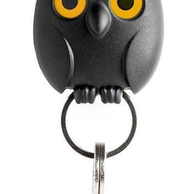 速发会意眼创眨猫头鹰孔雀造产云朵强磁挂型品