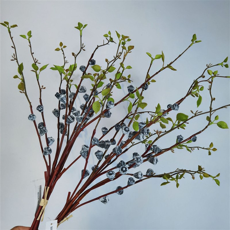 速发桉树花植物 尤加利果家居插花装饰 装软果艺装饰叶子