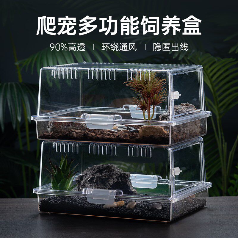 速发塑料爬虫饲养盒蜥蜴睫角守宫蛇角蛙缸虫爬宝宝仓鼠窝蚕宠箱爬