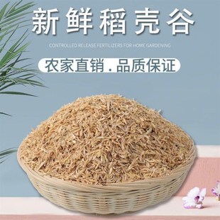 速发芦丁鸡床料发酵猪谷壳稻谷壳除臭无臭菌种分解积压仓鼠垫垫料