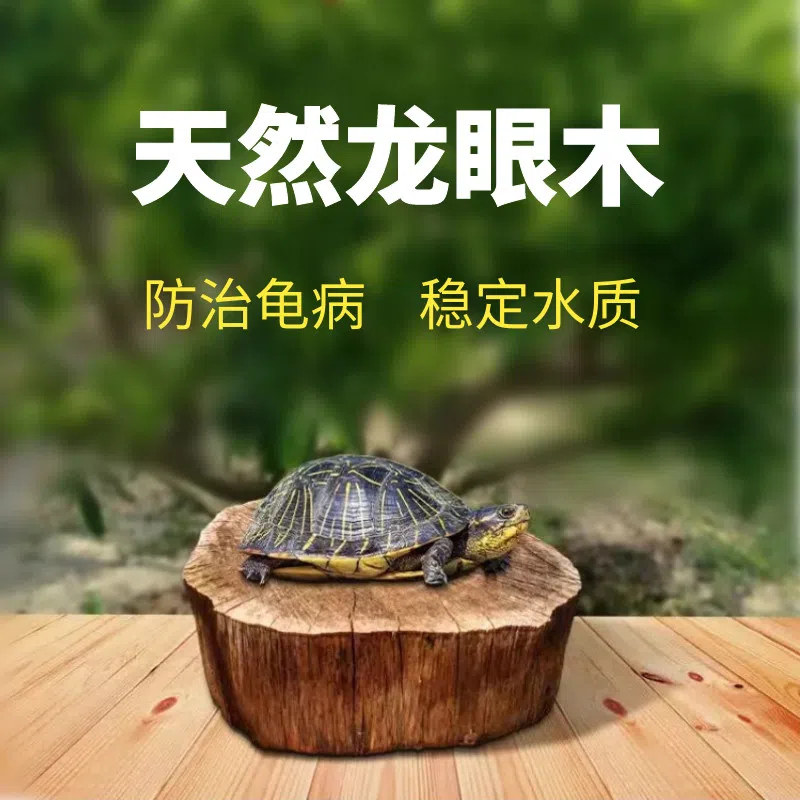 速发乌龟晒背台爬台高龙位水眼木防烂甲腐皮造景调件沉木摆节水质
