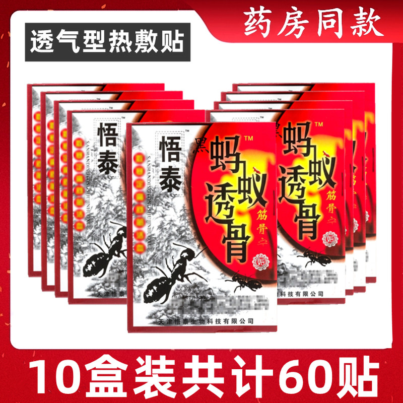 10盒 正品安徽悟泰蚂蚁透骨贴 安徽悟泰 宛航黑蚂蚁透膏贴发热贴