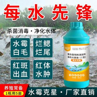 每水先锋水产养殖鱼塘水霉病白毛病鳃霉赤皮出血烂鳃烂身水霉克星