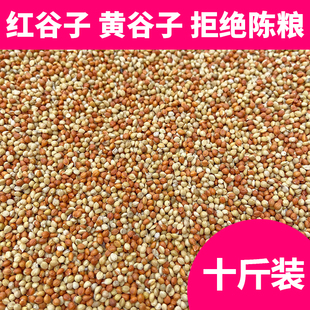 红谷子黄谷子鸟粮鸟食玄凤牡丹虎皮鹦鹉混合饲料混合带壳小米粟谷