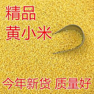 鹦鹉粮虎皮文鸟粮5斤包邮黄小米芦丁鸡饲料脱壳小米优质鸟粮鸟食