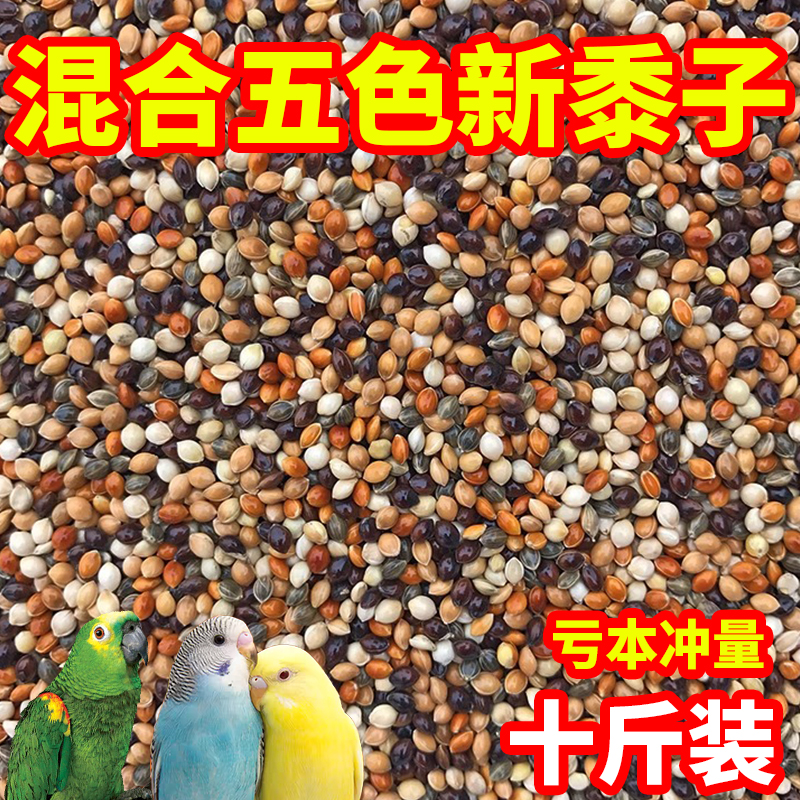 鹦鹉五色黍子虎皮牡丹玄凤中小型鸟粮鹦鹉鸟食饲料谷子带壳混合粮