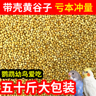 新黄谷子带壳小米鸟粮鸟食鸟饲料中小型鹦鹉虎皮牡丹玄凤50斤袋装