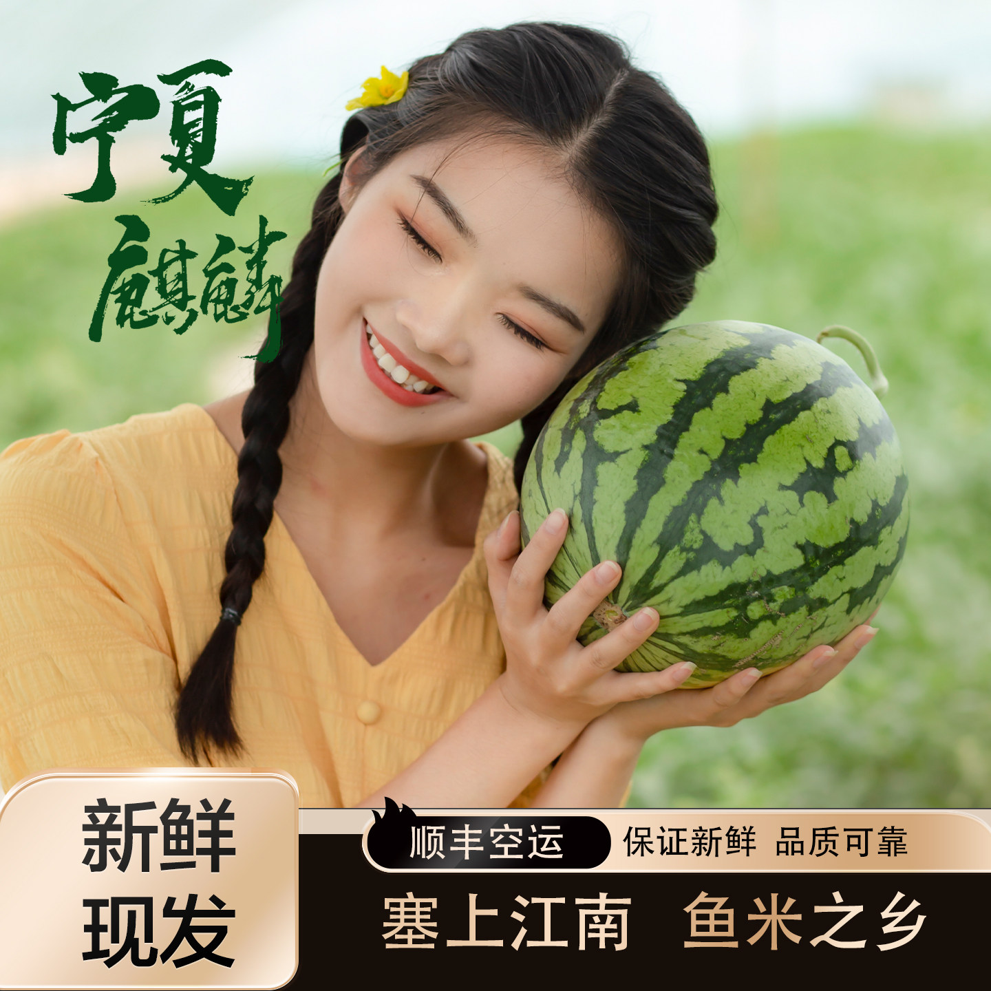 头茬无籽宁夏麒麟美都西瓜礼盒现摘现发送礼孕妇水果