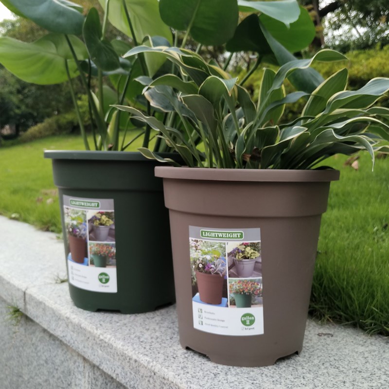 速发二植加仑盆托盘绿萝植物种代塑艺工具多肉PP园料通用花盆