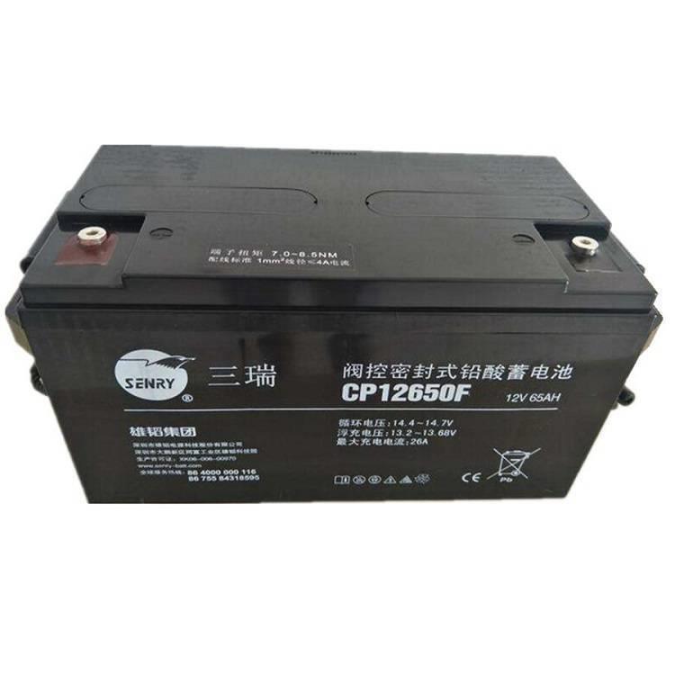 蓄电池6FM40-X 12V40AH光伏储能电池传媒用电源