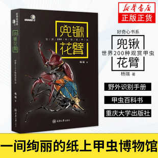 【现货速发】兜锹花臂 世界200种观赏甲虫 杨瑞著 重庆大学出版社 自然科学科普读物类书籍 正版书籍9787568927772
