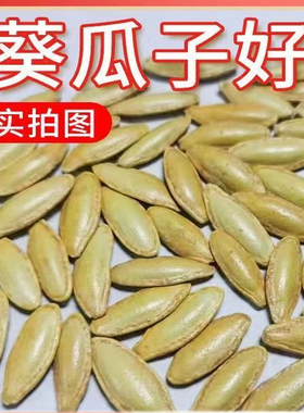新疆美人甲长粒椒盐味南瓜子大颗粒南瓜子五香味休闲小包装追剧