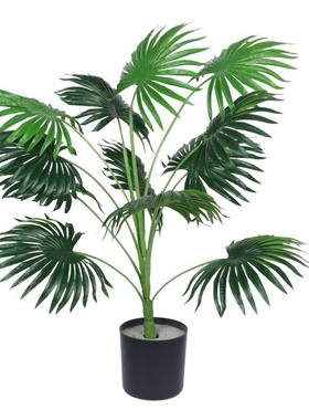 跨境仿真绿植蒲葵散尾葵喜林芋盆栽家居桌面装饰摆件仿生植物造景