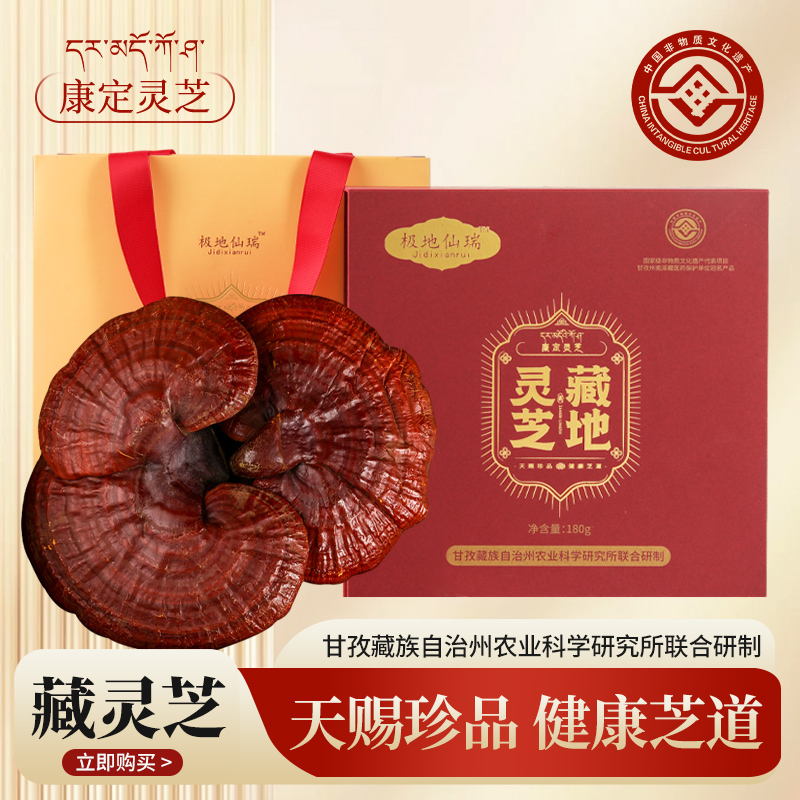 甘孜藏地灵芝切片整朵礼盒180g滋补营养灵芝干货膳食可泡酒送长辈
