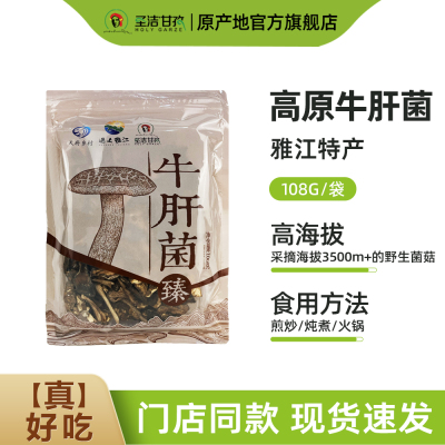 牛肝菌干货108g雅江特产新鲜美味牛肝菌菌菇蘑菇牛干菌菌类煲汤料