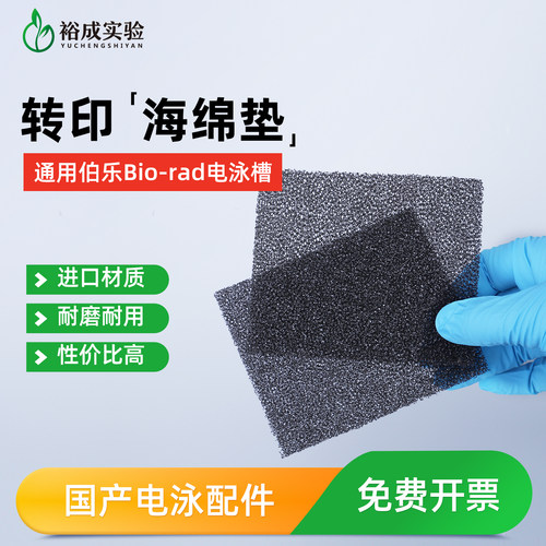 裕成实验 适配伯乐WB湿转转印海绵垫 转印棉转膜槽海绵衬垫4片/包