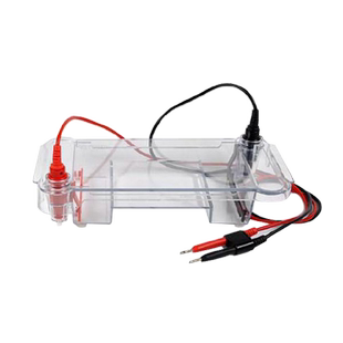 东方瑞利 核酸水平电泳仪 琼脂糖水平电泳仪DNA核酸电泳槽配件