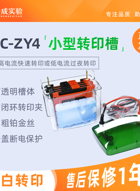 裕成实验DYC-ZY4小型4块胶转印槽 湿转转膜槽 转印电泳槽配件